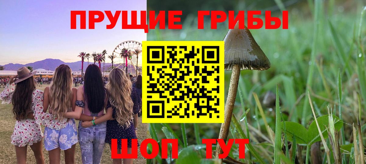 Галлюциногенные грибы мухоморы Камышлов