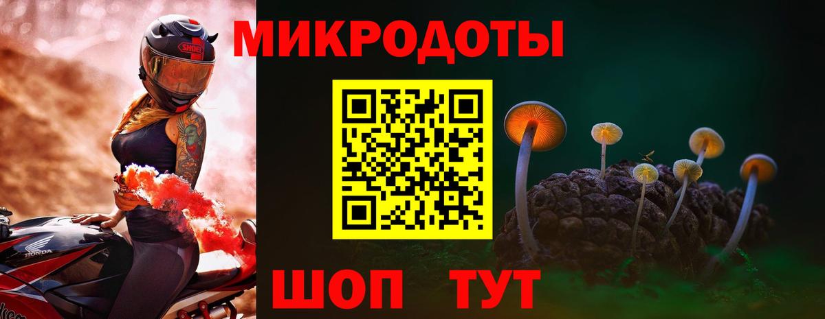 Камышлов  купить   Вход с VPN  Псилоцибиновые грибы MAGIC MUSHROOMS 