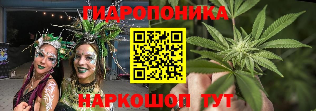 Бошки Шишки LSD WEED  Бошки марихуана LSD WEED  Камышлов  Вход с VPN  Канабис конопля 